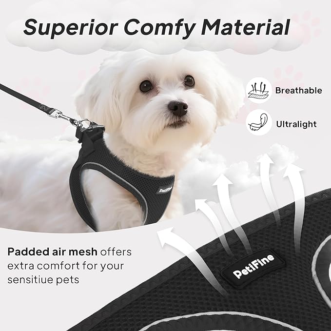PetiFine Step in Small Dog Harness and Leash Set, Breathable All Weather Air Mesh Reflective Escape Proof, Step-in Vest Harnesses for Puppy(XS, Black)
