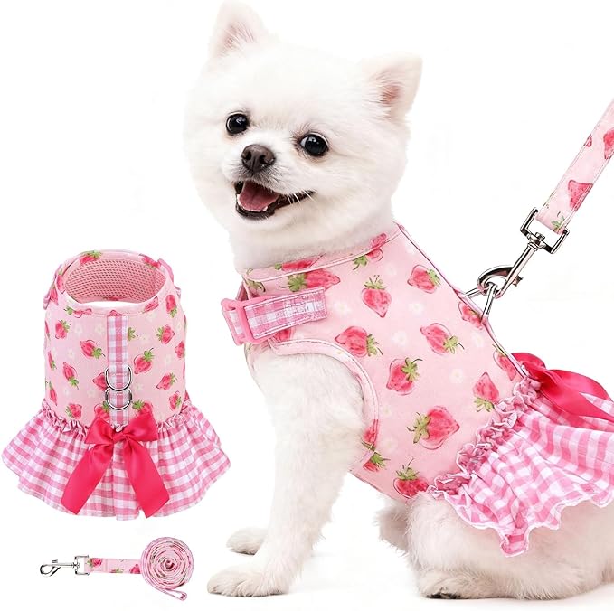 EXPAWLORER Dog Harness Small Medium Sized Dogs, Plaid Dog Dress Bowknot Harness and Leash Set, No Choke No Pull Soft Mesh Vest Cute Princess Puppy Outfits Clothes Costume for Girls Party Cats Pink S