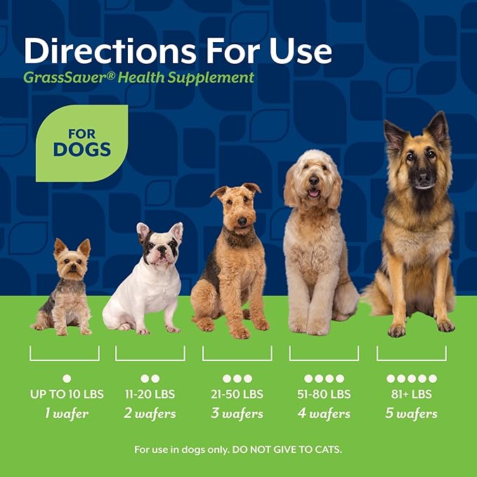 NaturVet – GrassSaver Wafers for Dogs Plus Enzymes – 300 Wafers – Healthy Supplement to Help Rid Your Lawn of Yellow Spots – Synergistic Combination of B-Complex Vitamins & Amino Acids