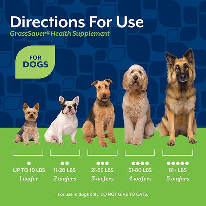 NaturVet – GrassSaver Wafers for Dogs Plus Enzymes – 300 Wafers – Healthy Supplement to Help Rid Your Lawn of Yellow Spots – Synergistic Combination of B-Complex Vitamins & Amino Acids