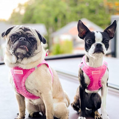 Best Pet Supplies - All Weather Plush, Reflective, No Pull Harness for Small, Medium Dogs, Cats - Secure with Hook & Loop Fastener, Buckle, Double D-Rings - Fuchsia Corduroy, XL