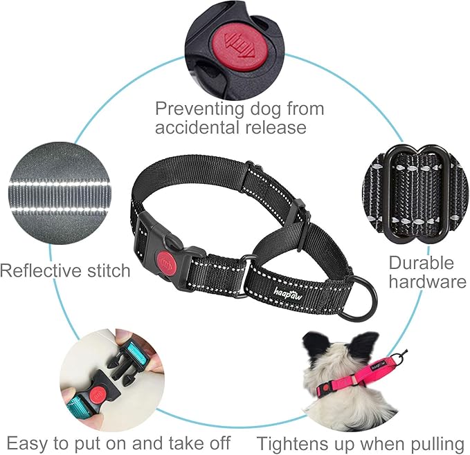 haapaw Martingale Dog Collar with Quick Release Buckle Reflective Dog Training Collars for Small Medium Large Dogs