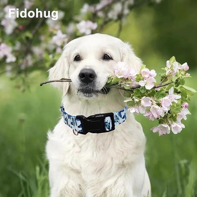 Martingale Collar for Dogs with Buckle Nylon Slip No Pull Training Dog Collars (Blue Butterfly, XLarge)