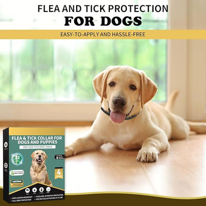 Flea Collar for Dogs 4 Pack, 32 Months Comfort Flea and Tick Prevention, Waterproof Dog Flea and Tick Collar, Adjustable Flea and Tick Treatment for Dogs - One Sizes Fit All (Black)