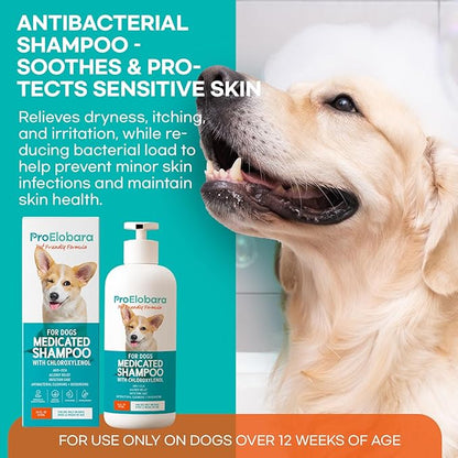Medicated Dog Shampoo for Allergies and Itching: Antifungal Dog Shampoo, Yeast Infection and Bacterial Treatment for Dogs - Helps Hot Spots, Deodorizing and Anti Itch - Healthy Skin & Coat 16 OZ