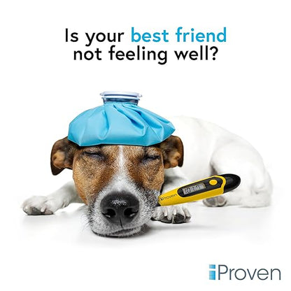 iProven Pet Thermometer (Termometro) for Accurate Fever Detection, Suitable for Cats/Dogs, Waterproof Pet Thermometer, Fast and Accurate Measurements in 20 Seconds - DT-K117 (5 Packs)