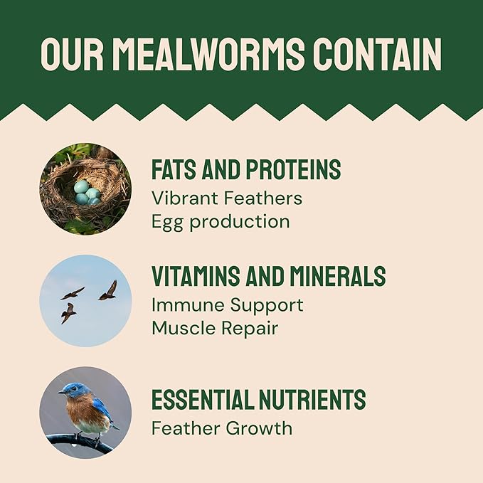 Hatortempt 2lb Dried Mealworms for Chickens - 50% Protein and 32% Essential Fats to Support Healthy Feather Growth During Molt - Organic Treats for Chickens, Ducks, Wild Birds & Reptiles