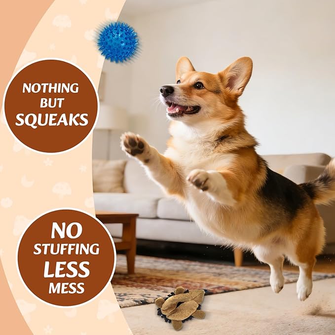 Plush Hedgehog Dog Toys 5 Pack, 2-in-1 Squeaky No-Stuffing Hedgehog for Small and Medium Pets, Keep Your Puppy Busy with Multi-Colored for Indoor & Outdoor Play