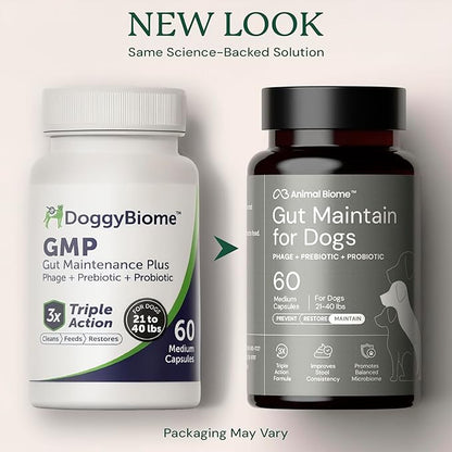 Animal Biome Probiotics for Dogs with S Boulardii, Gut Maintain (60 Capsules) – Triple-Action Medium Dog Probiotics, Prebiotics & Phage Supplements for Gut Health, Firmer Stool & Diarrhea Support