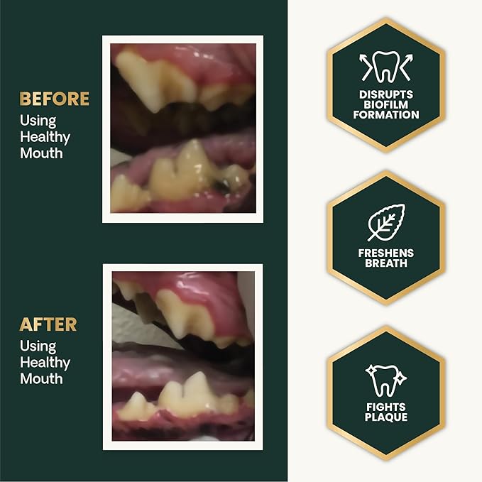 VetriScience Dental Care Powder for Dogs & Cats – Helps Reduce Plaque & Tartar Buildup, Clean Teeth & Fresher Breath, Clinically Tested, Vet-Formulated Oral Supplement, 4.2 oz
