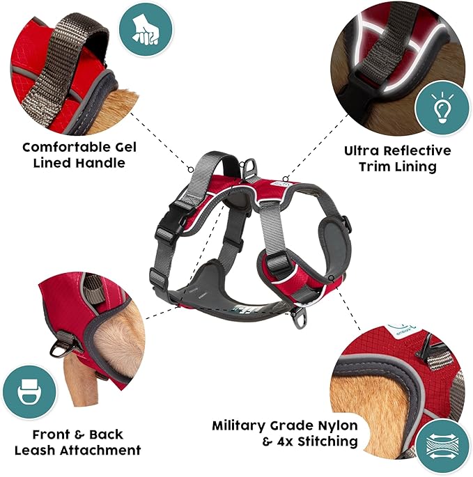 Embark Adventure Small Dog Harness – No-Pull, Reflective Trim, Military-Grade Nylon, Front Clip with Gel-Lined Handle