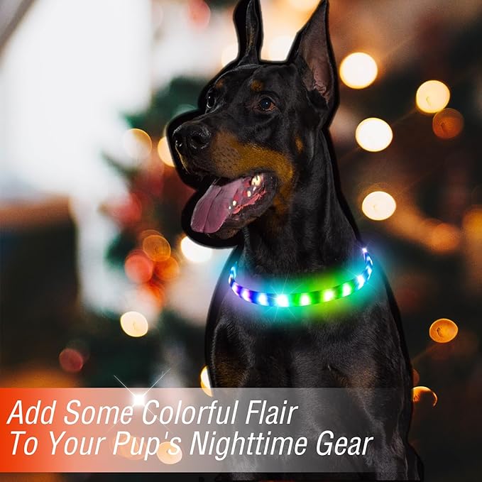 Light Up Dog Collar Multicolor LED USB C Rechargeable, Glow in The Dark Collar for Night Walking, Cuttable for Large Medium Small Dogs Pet (Multicolor Dog Collar)