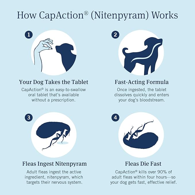 PetArmor CAPACTION (nitenpyram) Oral Flea Treatment for Dogs, Fast Acting Tablets Start Killing in 30 Minutes, Small Dog Flea Treatment 2-25 lbs, 6 Doses