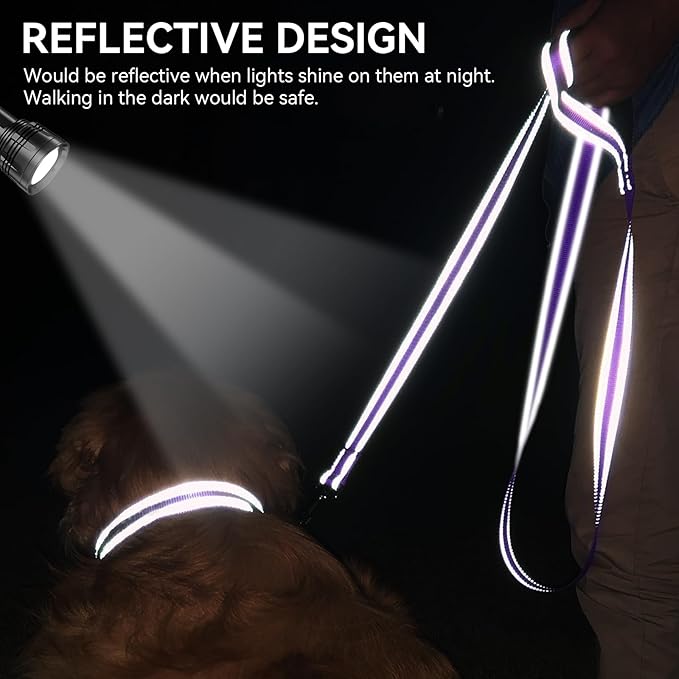 Joytale Dog Leash, 4 FT Double-Sided Reflective, Padded Handle Nylon Heavy Duty Leashes for Small Dogs Walking, Purple