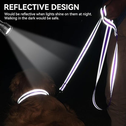 Joytale Dog Leash, 4 FT Double-Sided Reflective, Padded Handle Nylon Heavy Duty Leashes for Medium & Large Dogs Walking, Purple