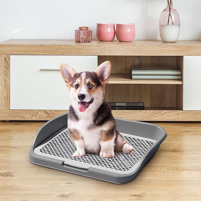 Indoor Dog Training Toilet Pads - Gray