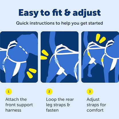 PetSafe CareLift Support Harness - Lifting Aid for Senior or Injured Dogs - Breathable Mesh - Machine Washable - Post-Surgery Dog Support - Medium