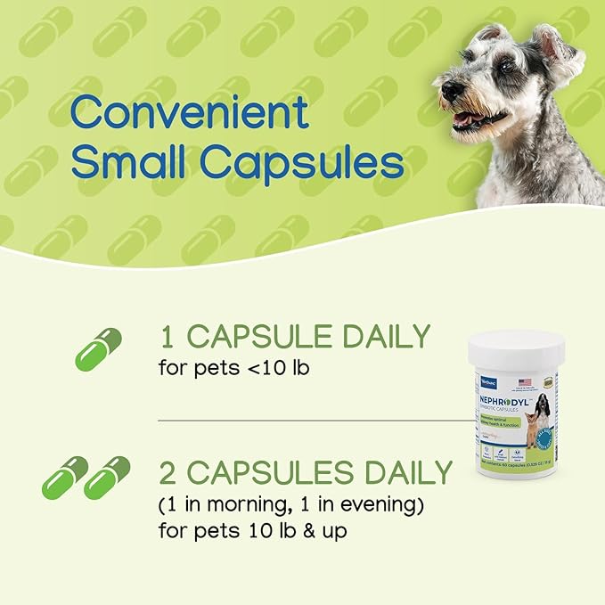 Virbac NEPHRODYL® Synbiotic Capsules - Kidney Support Supplement for Cats & Dogs, Probiotics & Prebiotics for Digestive Health, Small & Easy-to-Swallow Capsules, Made in The USA