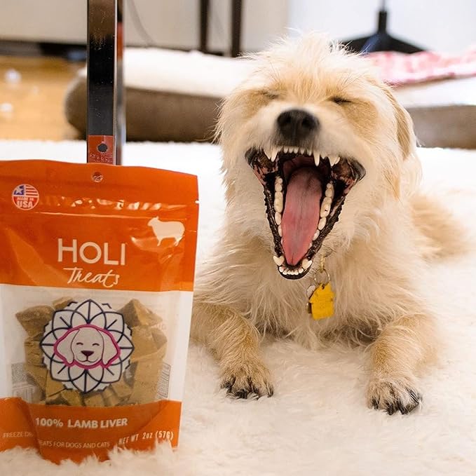 HOLI Freeze Dried Lamb Liver Dog Treats – Single Ingredient Freeze-Dried Dog Treats – Dried Lamb Liver Dog Treats Made in USA – Healthy Liver Treats for Dogs & Diabetic Dog Treat-Friendly - 4oz
