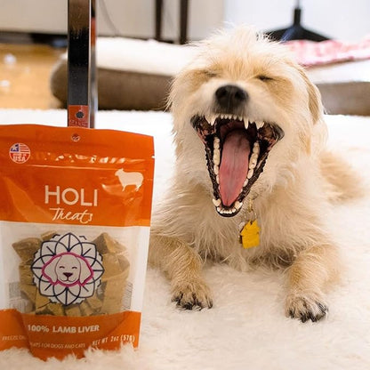 HOLI Freeze Dried Lamb Liver Dog Treats – Single Ingredient Freeze-Dried Dog Treats – Dried Lamb Liver Dog Treats Made in USA – Healthy Liver Treats for Dogs & Diabetic Dog Treat-Friendly - 8oz