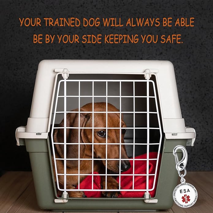 Service Dog Tag/ESA Animal Tag - Double Sided with Federal Protection & Red Medical Alert Symbol| Easily Attach to Collar, Harness, Vest | Service Dog Identification Tag
