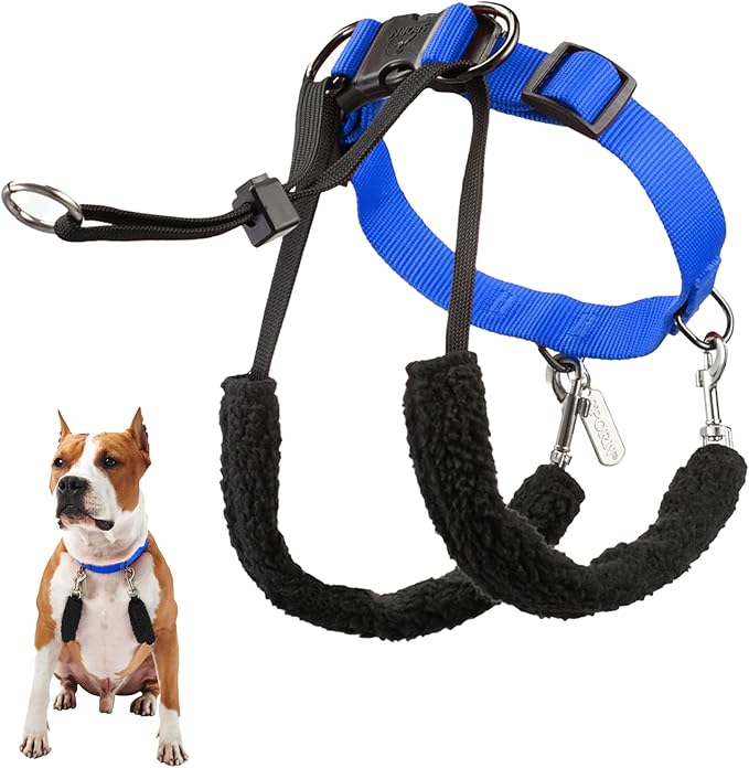 Sporn Original Dog Halter, No Pull Dog Harness, Durable Nylon Collar with Padded Restraint Sleeves for Medium Breeds, No Choke Design, Adjustable Fit, Easy On/Off, Blue, Medium