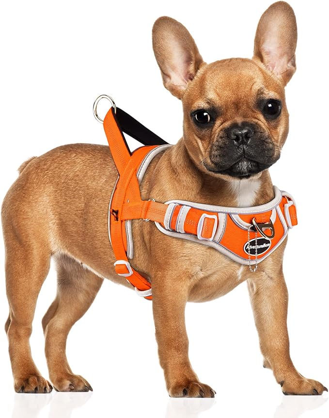 ADVENTUREMORE Small Dog Harness (Orange), No Pull Reflective Breathable Vest with Easy Control Handle, Escape Proof for Training Walking