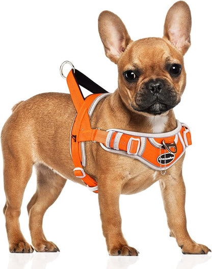 ADVENTUREMORE Small Dog Harness (Orange), No Pull Reflective Breathable Vest with Easy Control Handle, Escape Proof for Training Walking