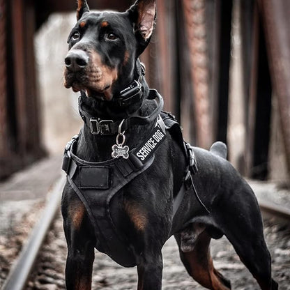 Pistha 12 Pieces Removable Tactical Dog Harness Service Dog Vest Patches Do Not Pet in Training and Emotional Support Dog Vest Patches(3.6 x 1.6Inch)