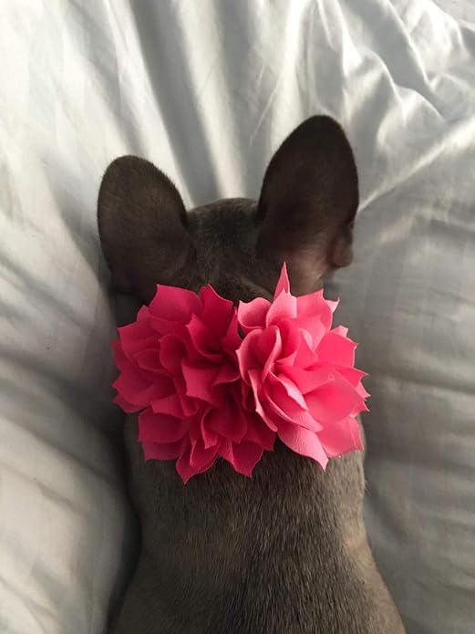 PET SHOW Small Dog Collar Charms Bowties for Cats Rabbits Slide on Puppies Medium Dog Collars Attachment Flower Bows Pet Bowknot Valentines Grooming Costumes Accessories