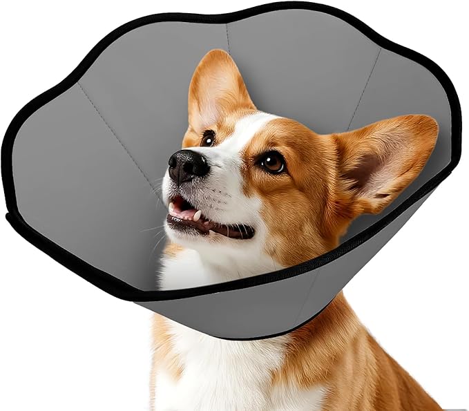 MIDOG Dog Cone Collar After Surgery, Soft Dog Cone Alternative to Stop Licking,Adjustable Elizabethan Recovery Cones for Small to Large Sized Dogs