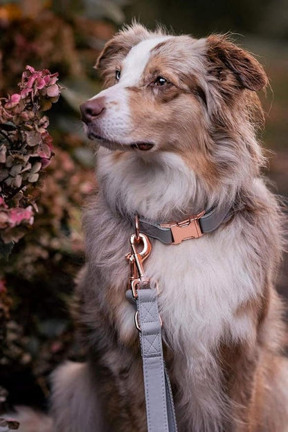 Soft Leather Dog Collar and Leash (6.6') Set - Stylish Rose Gold Heavy Duty Metal Buckle, 4 Adjustable Lengths Leash for Small Medium Large Dogs - Comfortable & Easy to Clean Grey S(12.2"-16.9")
