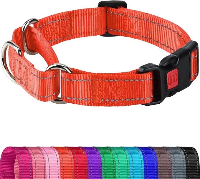 Joytale Martingale Collar for Dogs, Reflective Heavy Duty for Safety, Quick Release Buckle, Adjustable Nylon Collars for Puppy and XSmall Dogs Walking Training, Orange,XS