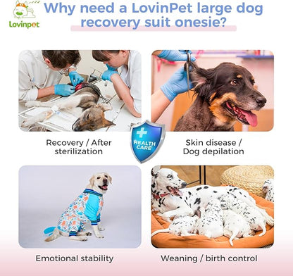 LovinPet Dog Recovery Suit - Medium Large - Dog Bodysuit for Abdominal Wound After Surgery Anti Licking Abdominal Wound Surgical Clothes Post-Operative Vest,Whale,Blue,3XL