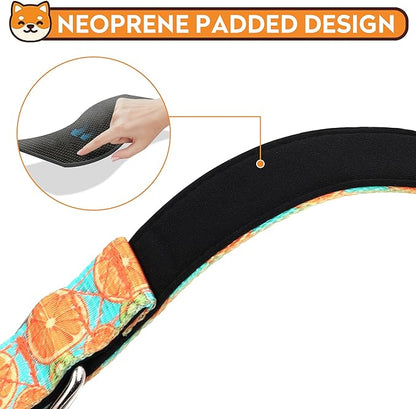 Reflective Dog Collar, Adjustable Soft Neoprene Padded Nylon Pet Collars with Buckle for Puppy and Small Dogs, Cats, Summer Lemon,M