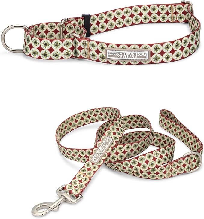 Lucky Love Dog Martingale Dog Collar & Leash - Adjustable, No-Slip, Durable, Comfortable, Soft Webbing, & Stylish Patterned Collar & Leash Set for Male and Female Dogs - Pongo Combo, Medium