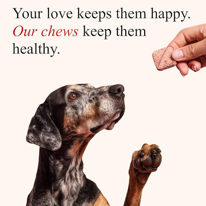 Cranberry Chews for Dogs – UTI Support & Bladder Support – Cranberry Supplement for Dogs – Dog Kidney Support – Urinary Tract & Bladder Control (90 Soft Chews)
