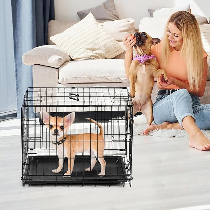 Dog Crate - 24 Inch Small Single Door Portable Puppy Dog Cage, Metal Wire Pet Kennel with Secure Lock, Leak-Proof Pan Tray, Foldable Design for Small Dog Indoor Training and Outdoor Trave