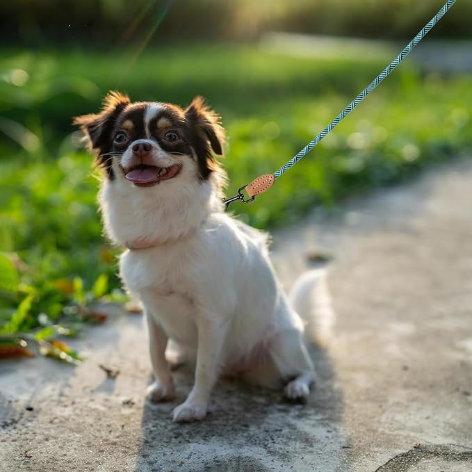 Mile High Life Small Dog Leash, Thin Rope Leash with Genuine Leather Connection and Heavy Duty Metal Clasp, Great for Small Medium Dogs(Turquoise Green, 60 Inch-1/3)