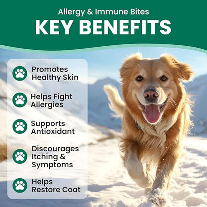 Allergy Relief Chews for Dogs – Anti-Itch, Hot Spot, Dry & Itchy Skin Support with Omega 3, Colostrum & Probiotics – 180 Soft Chews