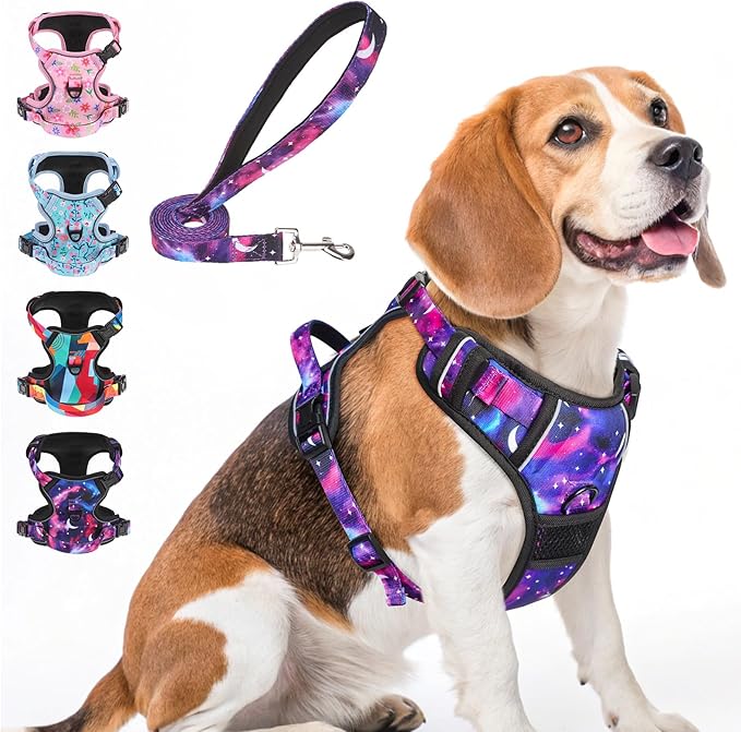 BEAUTYZOO No Pull Dog Harness and Leash Set for Medium Dogs, Adjustable Dog Vest Harnesses with 2 Metal Leash Clips, Reflective Oxford No Choke Escape Proof Step in Pet Vest with Handle, Purple M