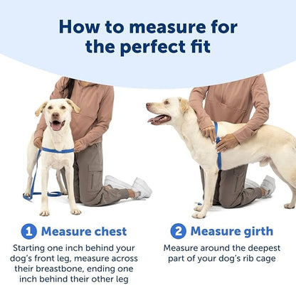 PetSafe Easy Walk No-Pull Dog Harness - The Ultimate Harness to Help Stop Pulling - Take Control & Teach Better Leash Manners - Helps Prevent Pets Pulling on Walks, Medium, Apple Green/Gray