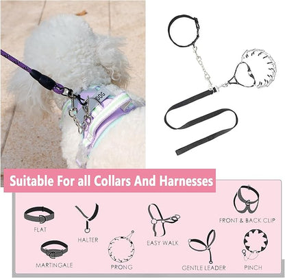 2 PCS Dog Collar Metal Safety Clip, Harness Collar Leash Chain Connector, Heavy Duty Double End Spring Backup Buckle Clasp, Escape-Proof Safety Accessory (Small, Silver)
