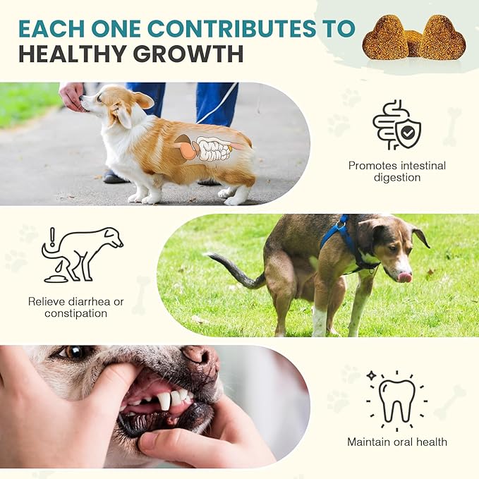Probiotics for Dogs Gut Digestive Health Probiotic Chews for Dogs Digestive Enzymes Relieve Diarrhea Immunity Oral Problems Itching Constipation Prebiotics Dog Probiotics 200 Ct Chicken