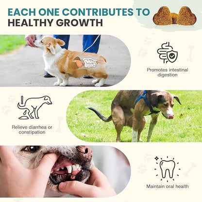 Probiotics for Dogs Gut Digestive Health Probiotic Chews for Dogs Digestive Enzymes Relieve Diarrhea Immunity Oral Problems Itching Constipation Prebiotics Dog Probiotics 200 Ct Chicken