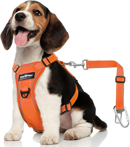 VavoPaw Dog Seat Belt Harness for Car, Dog Car Harness Adjustable Mesh Breathable & Dogs Seatbelt Safety Tether with Elastic Bungee for Small Medium Large Pets(Orange, S)