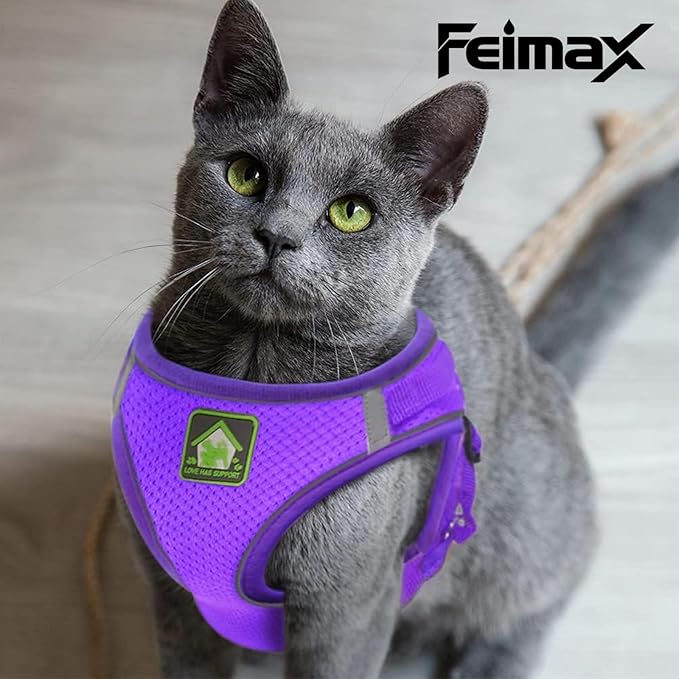 FEimaX Dog Harness and Leash Set, No-Pull Breathable Soft Mesh Puppy Vest Harness Reflective Adjustable Pet Harnesses for Small Medium Dogs and Cats - Outdoor Easy Control for Walking (XS, Purple)