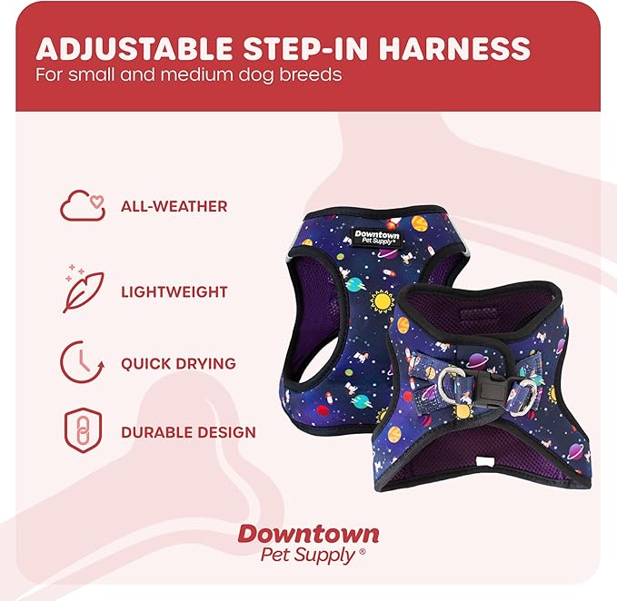 Downtown Pet Supply Step-in Dog Harness – No Pull, Adjustable Padded Mesh with Reflective Trim, Secure Buckle Strap – Comfortable & Breathable Small Dog Harness, Medium, Space