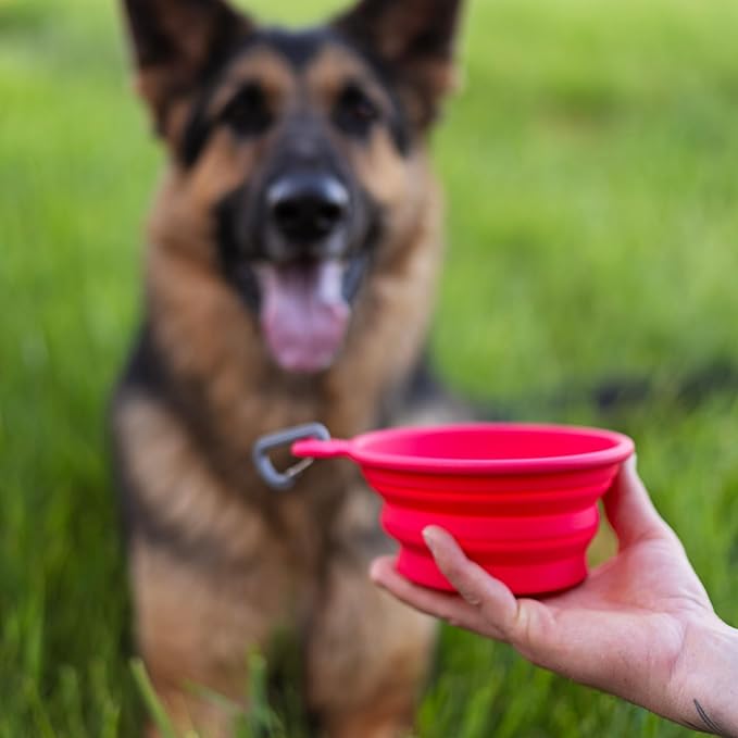 Messy Mutts Silicone Collapsible Bowl | Pet Travel Necessity | Portable Water or Food Dish | Pop Up Watering Bowl | Camping, Hiking, Walking Accessory | Small, 1.75 Cups | Blue