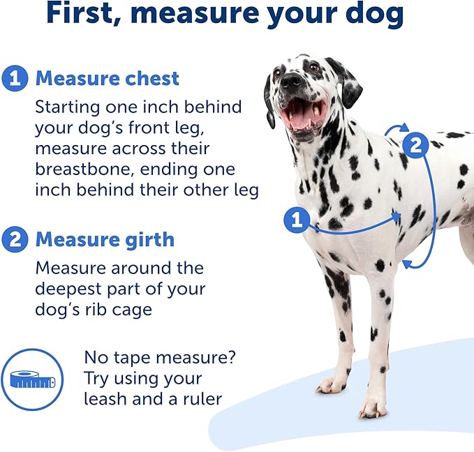 PetSafe Easy Walk Harness for Dogs - Pull-Free Walks - Patented Martingale Loop Design - Front Chest Leash Attachment - Comfort Straps - Breathable Harness Design - Medium/Large, Apple Green/Gray